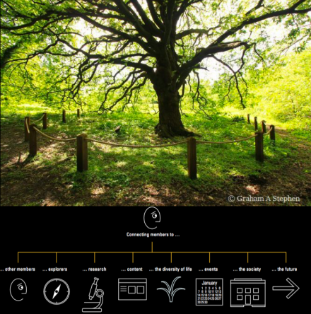 connected garden