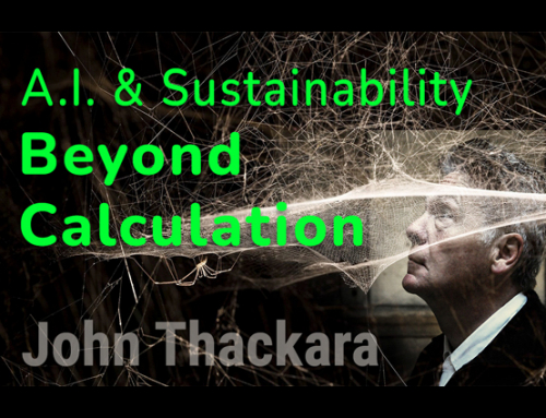Beyond Calculation: AI and Sustainability