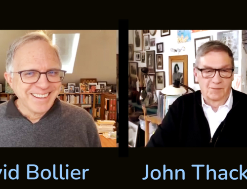 Tools for Changemakers: Conversation with David Bollier