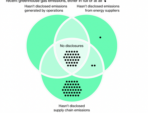 Sustainability You Can Touch