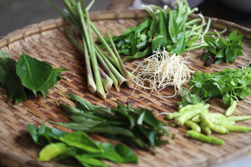 Image for the Tweet beginning: Documenting traditional Blang sustainable food