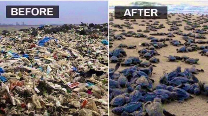 Image for the Tweet beginning: It took 96 weeks and